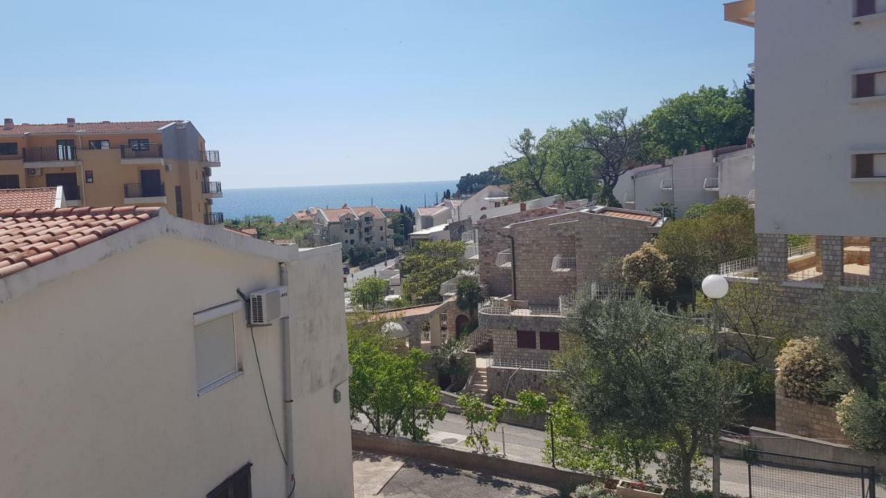 Apartmani Irena Petrovac Rom bilde